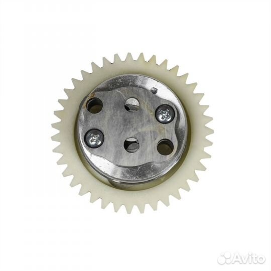 Насос масляный в сборе ZS174MN-3 (CBS300)