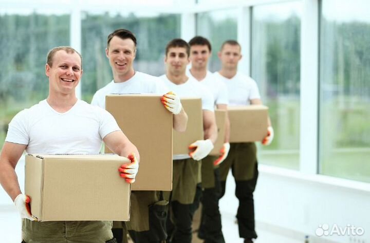 Грузчик Оплата Ежедневно Подработка Без опыта