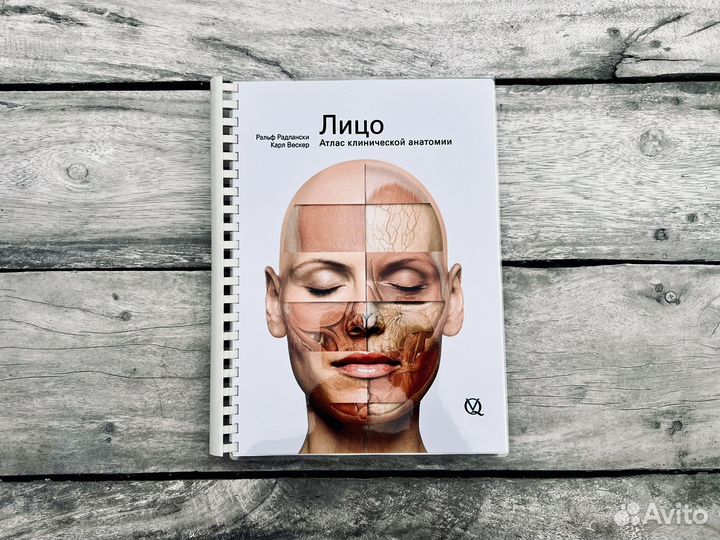 Лицо. Атлас клинической анатомии
