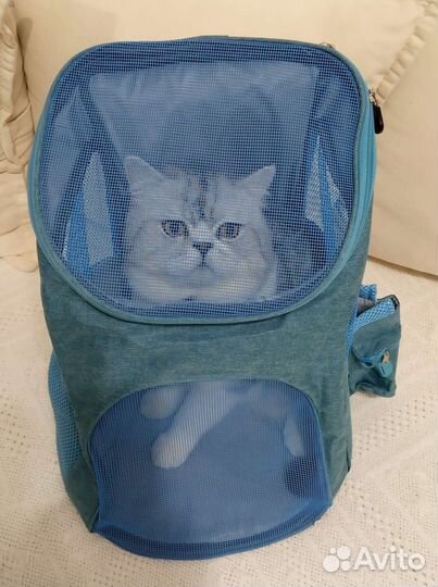 Рюкзак для животных