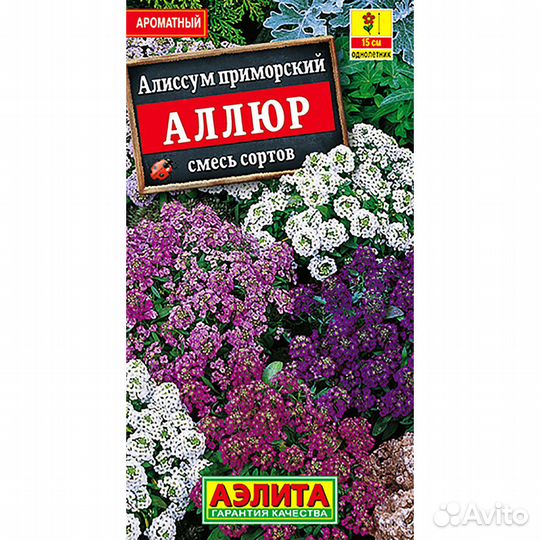 Алиссум Аллюр смесь окрасок