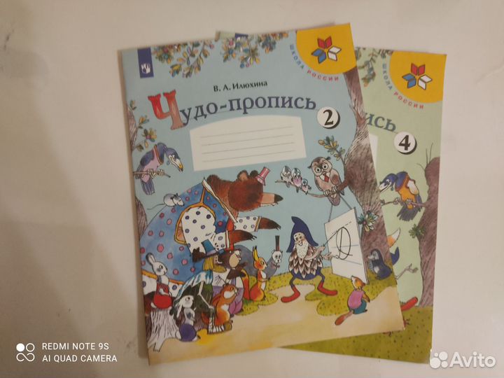 Рабочие тетради 1 класс