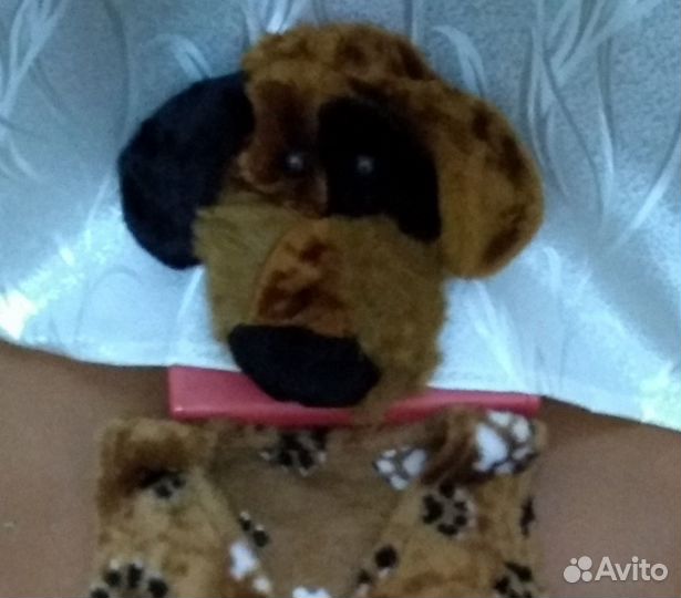 Костюм собаки