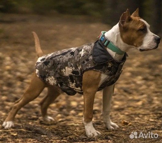 Зимняя попона для собак спинка 30 и 35 см новая