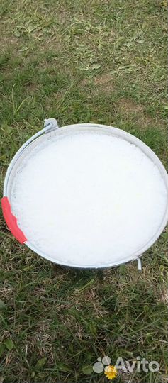 Продам корову