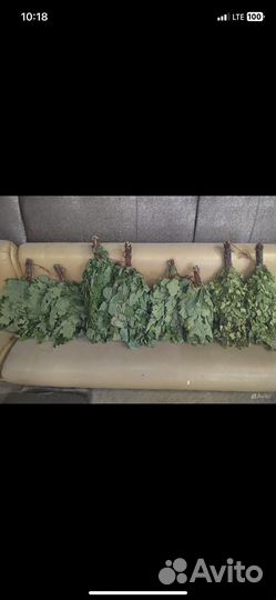 Банные веники