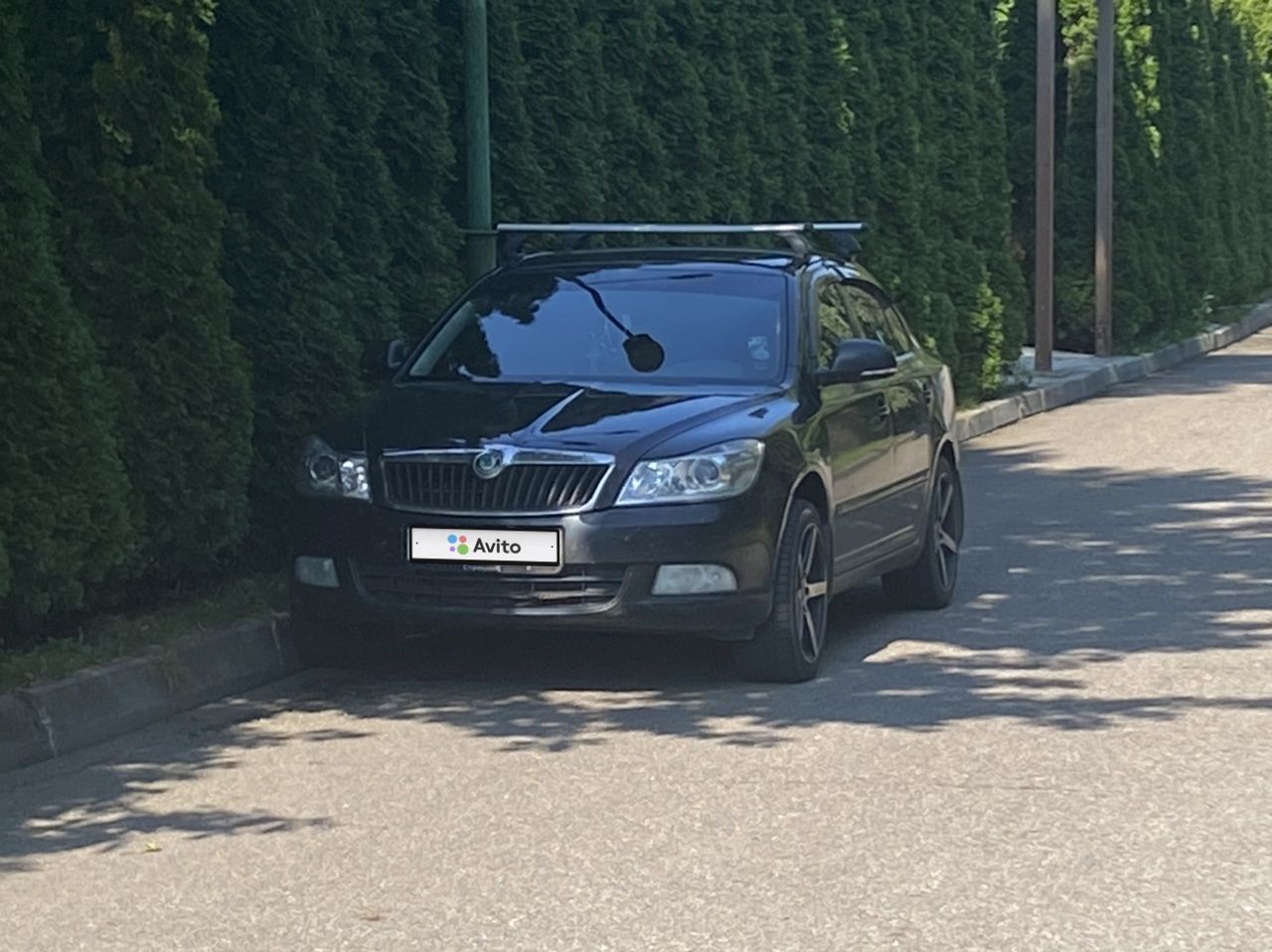Skoda Octavia: фото владельца