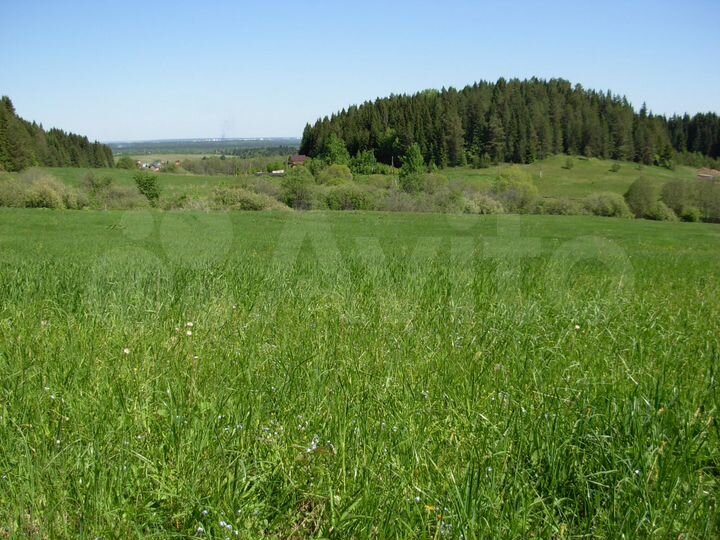 Участок 10 сот. (ИЖС)