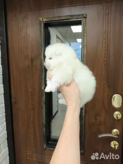 Мальчик пом