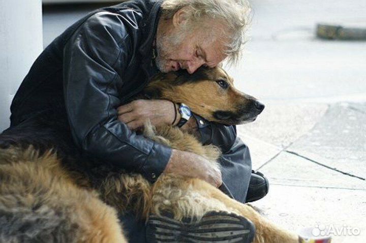 Усыпление домашних животных. Кремация