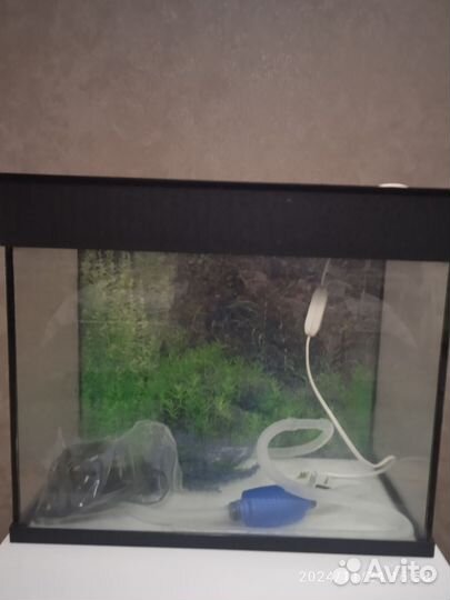 Аквариум