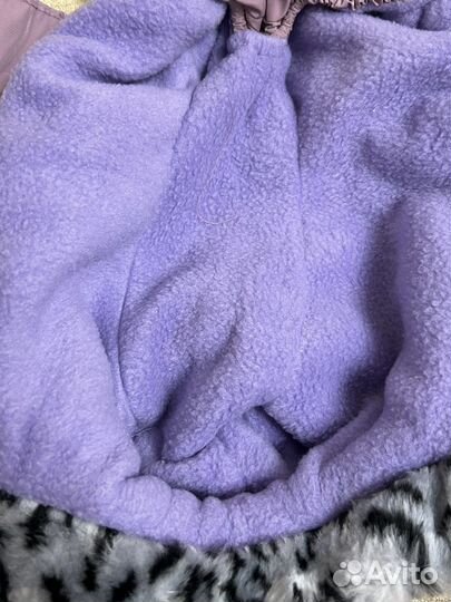 Одежда для собак мелких пород