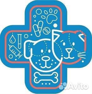 Ветврач/Ветеринарный врач на дом