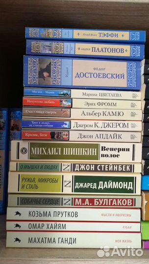Книги в мягкой обложке, покетбук