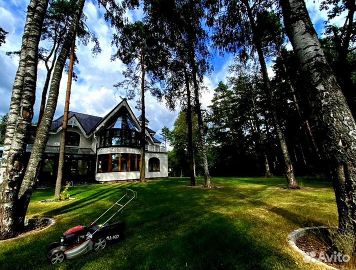 Рулонный газон