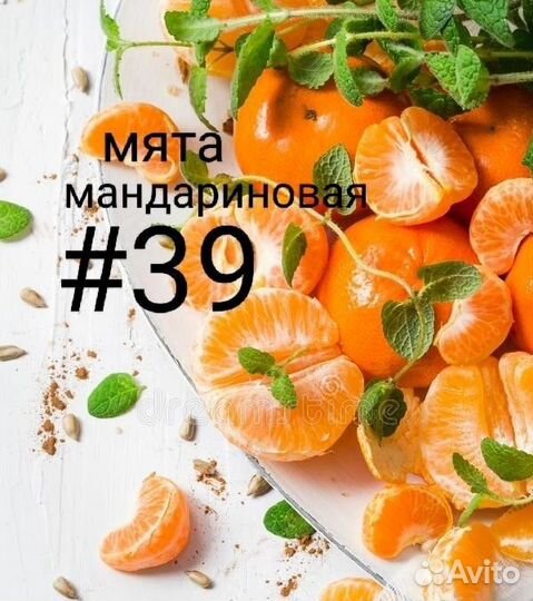 Мята сортовая, с разными ароматами, вариегатная