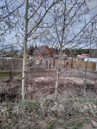 Участок 7 сот. (СНТ, ДНП)