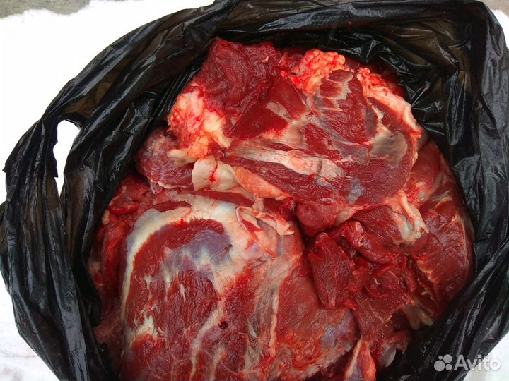 Мясо для собак с говяжьих голов Языки