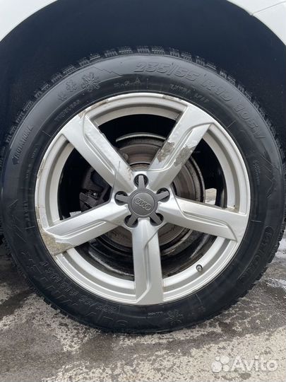 Tigar SUV Winter 235/55 R19 105