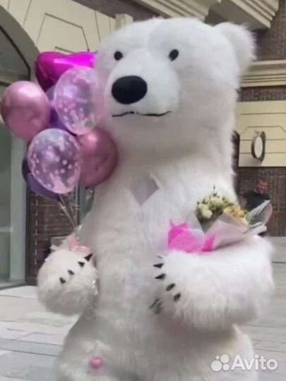 Поздравление Белый бурый мишка панда, ростовые