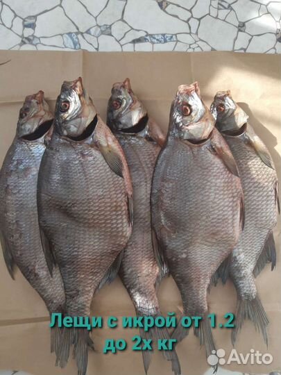 Вяленая рыба судак