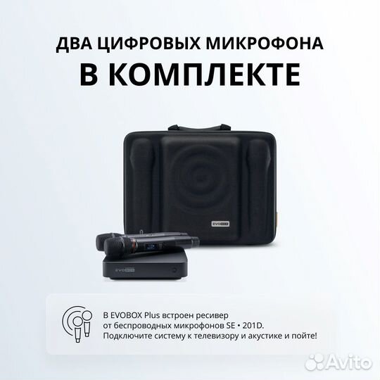 Караоке система Evolution evobox Plus Black