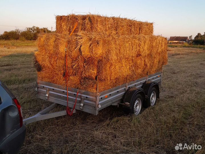 Сено 2023 тюки и рулоны разнотравье солома подстил