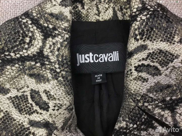 Плащ под рептилию Just Cavalli