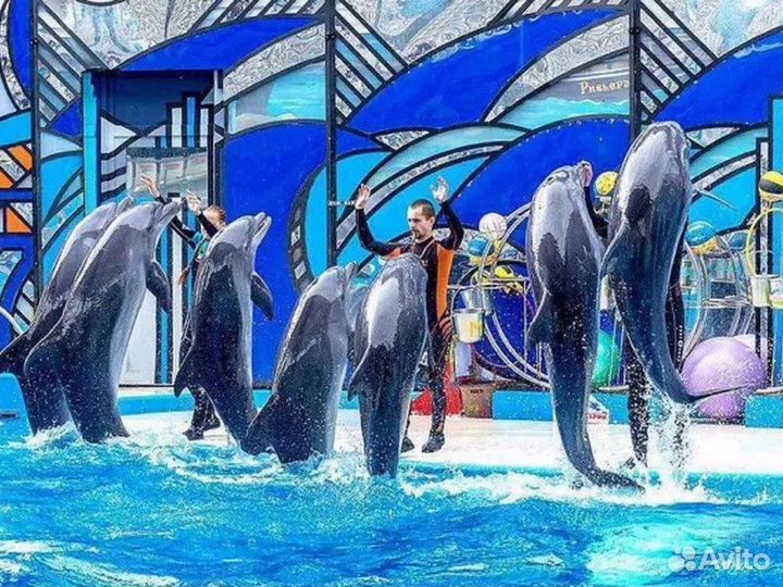 Экскурсия — Адлер — Экскурсия вБольшой сочинский д