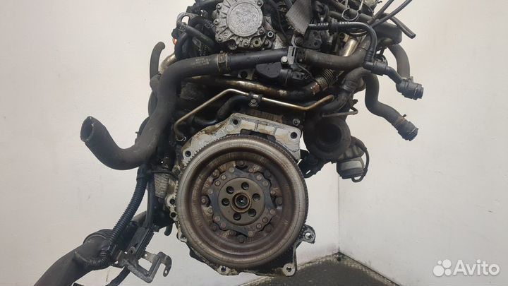 Двигатель Volkswagen Jetta 5 BKD 2 Дизель, 2008