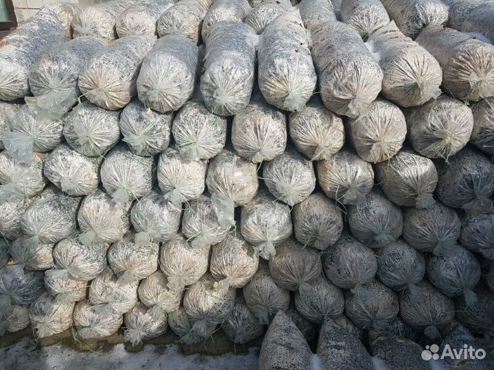 Отработанные грибные блоки