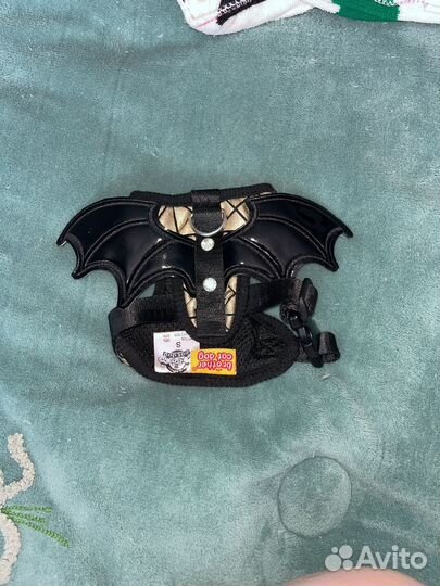 Одежда для маленьких собак