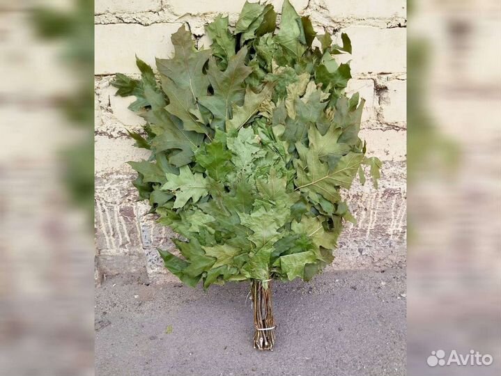 Веник банный, веник для бани канадский дуб