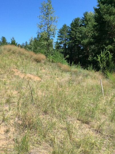 Участок 13 сот. (ИЖС)