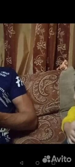 Портьерные шторы