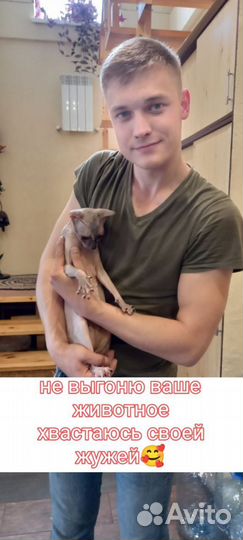 Мастер на час/сантехник/электрик/сборка мебели