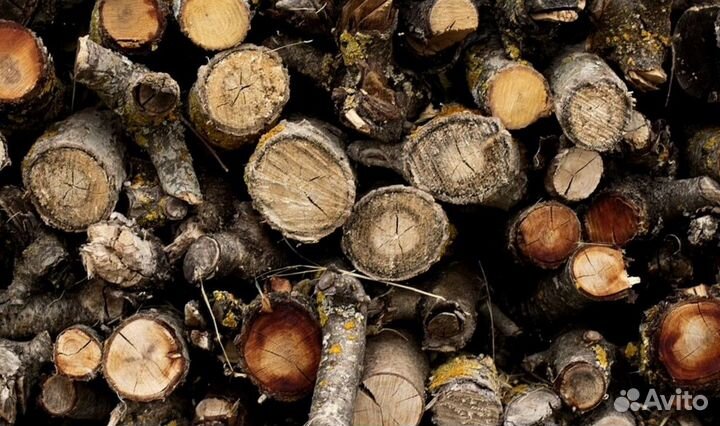 Дрова на дачу
