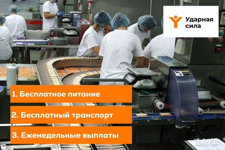 Упаковщики, упаковщицы без опыта работы