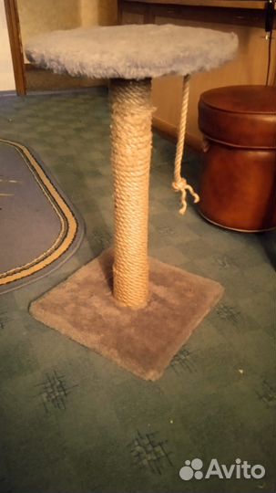 Когтеточка