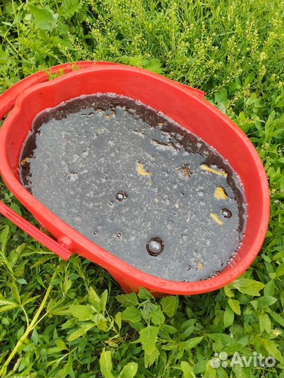 Мёд некондиция