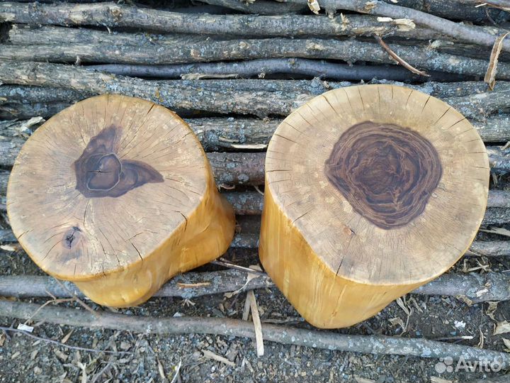 Пень, Чурбак, пенёк для декора