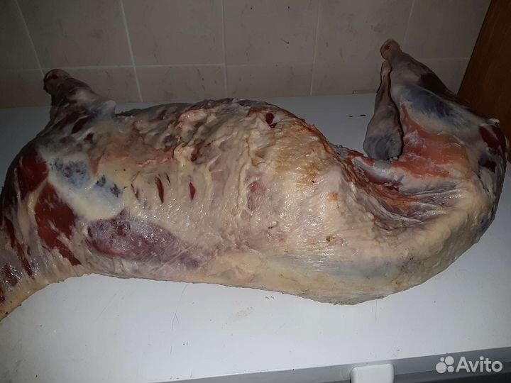 Мясо козлятина