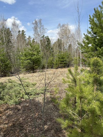 Дача 35 м² на участке 24 сот.