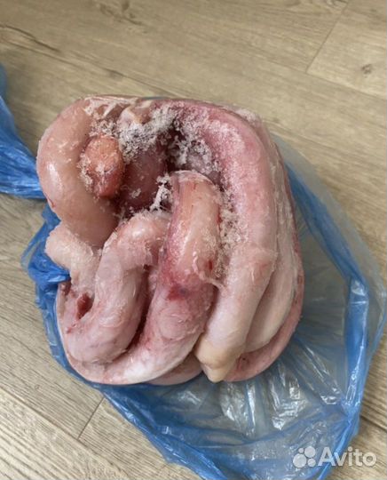 Бычий корень для собак