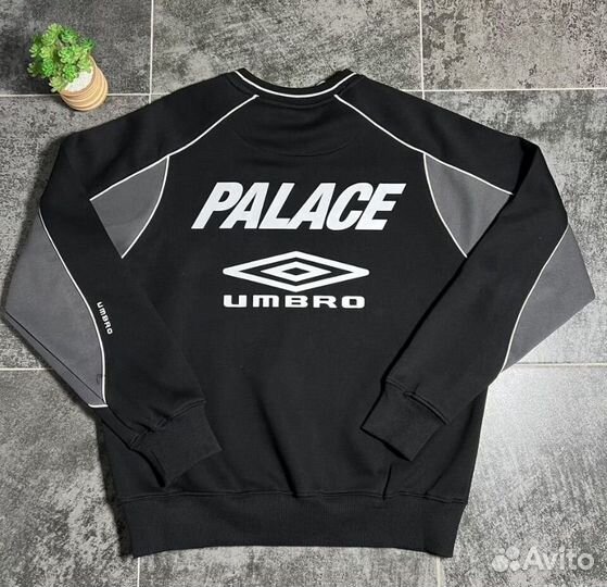 Свитшот мужской palace