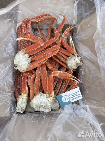 Клешни краба стригуна