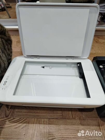 Мфу цветные лазерный (HP) и струйный (Epson)