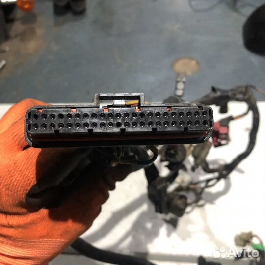 Коса проводки для Suzuki VZ1600 Marauder