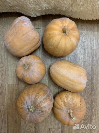 Тыква и пюре тыквенное