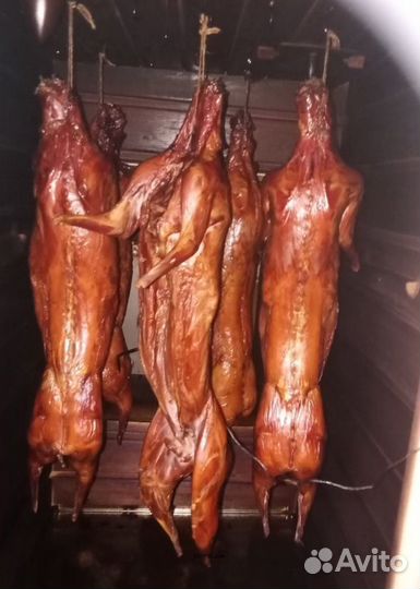 Коптильня холодного и горячего копчения